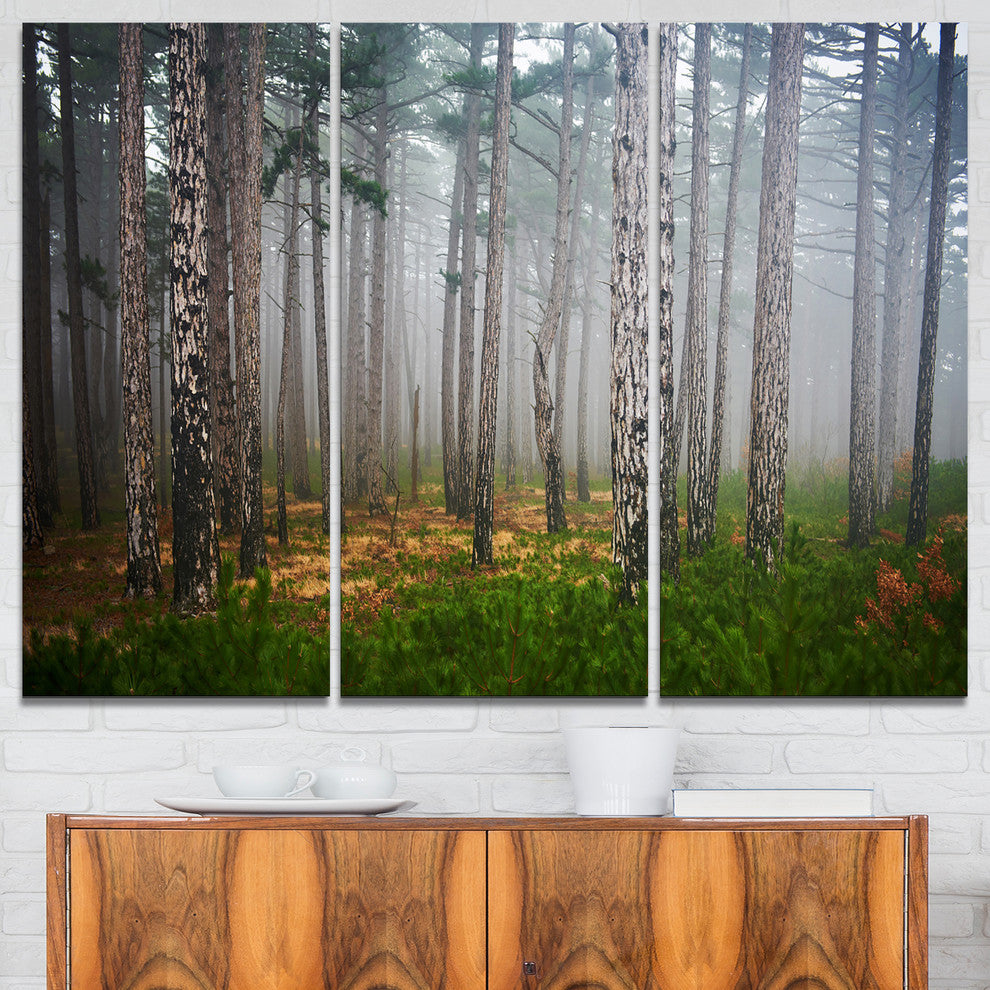 "Dense Misty Forest" Photography Canvas Print, 3 Panels, 36"x28"