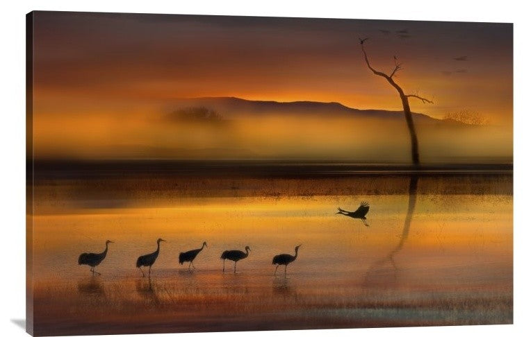 "We Are Here Waiting For You" Stretched Canvas Giclee by Shenshen Dou, 36x24"