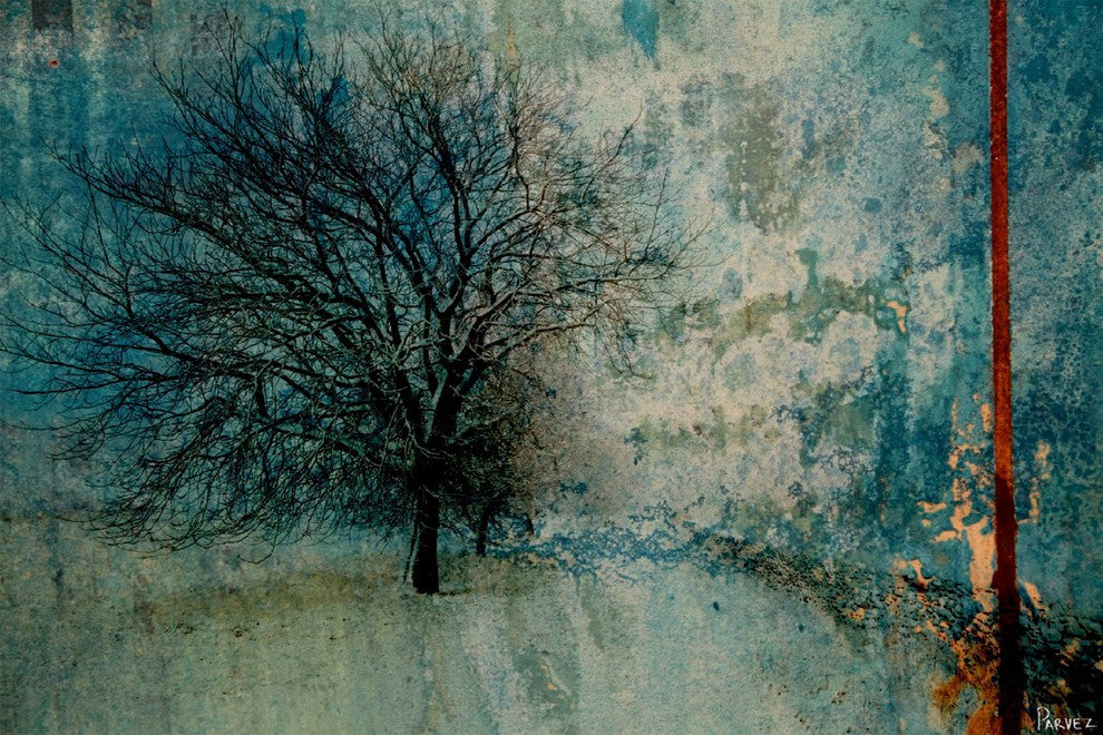 "Yosemite" Fine Art Canvas Print, 60"x40"