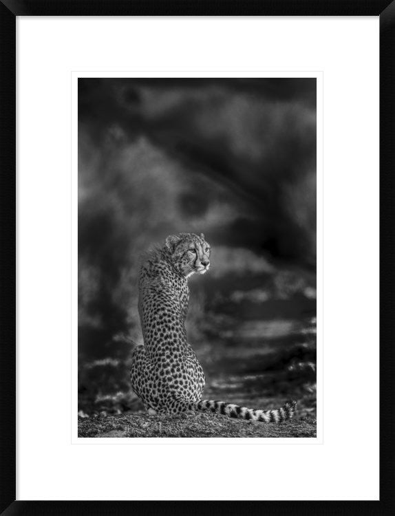"The Look Back" Framed Digital Print by Jaco Marx, 20"x26"
