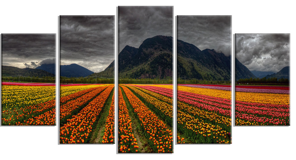 Beautiful Colored Tulips Panorama, Orange, Landscape Wall Art, 60"x32", 5 Panels