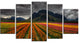 Beautiful Colored Tulips Panorama, Orange, Landscape Wall Art, 60"x32", 5 Panels