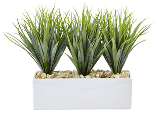 Vanilla Grass In Rectangular Planter