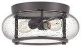 Quoizel TRG1612OZ Two Light Flush Mount, Old Bronze Finish