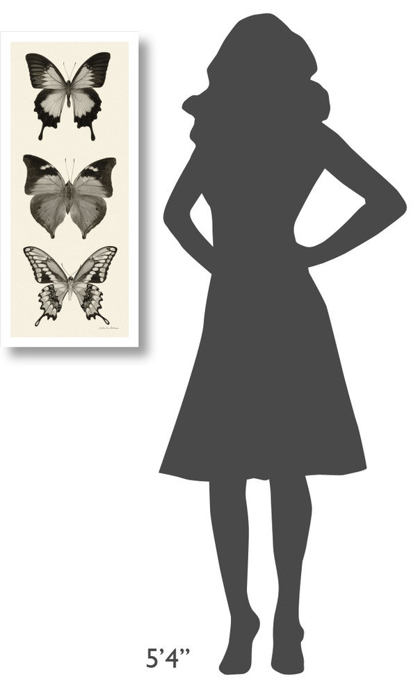"Butterfly - BW Panel I" Digital Paper Print by Debra Van Swearingen, 14"x32"
