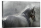 "Gramy" Stretched Canvas Giclee by Milan Malovrh, 16"x12"