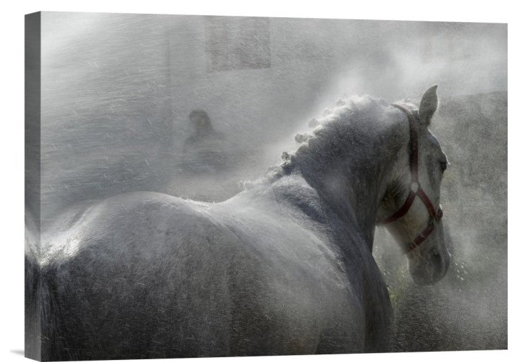"Gramy" Stretched Canvas Giclee by Milan Malovrh, 16"x12"
