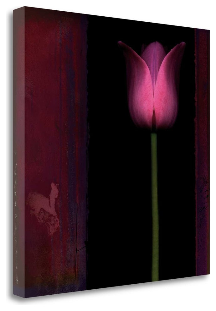 "Red Tulip I" By Rick Filler, Giclee Print on Gallery Wrap Canvas, Ready to Hang