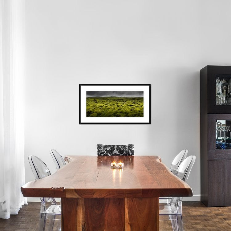 "Islandmoos I" Framed Digital Print by Franz Schumacher, 38x21"