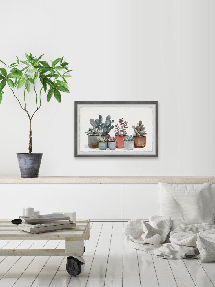 "Succulent Plants Display" Framed Painting Print