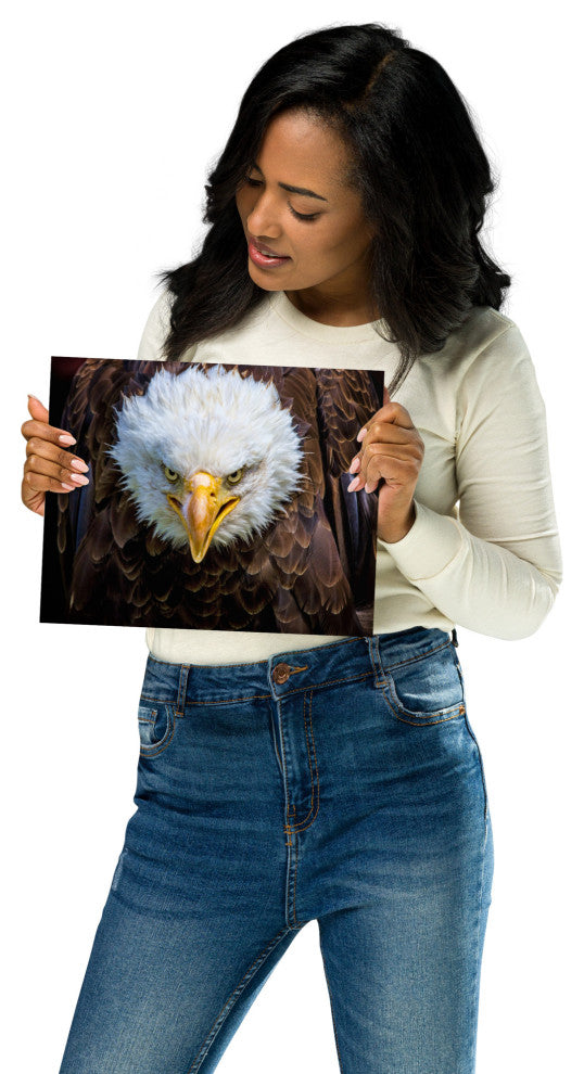 Bald Eagle Portrait Close-up Loose Wall Art Print, 8" X 10"