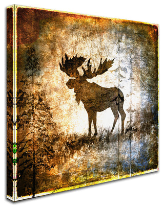 LightBoxJournal 'High Country Moose' Canvas Art, 24" x 24"