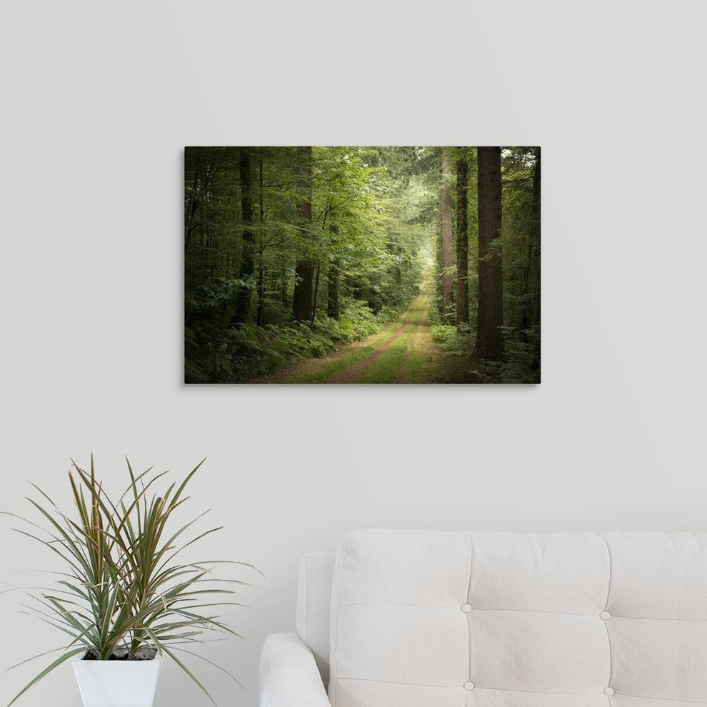 "La foret de Carnoet en Bretagne" Wrapped Canvas Art Print, 24"x16"x1.5"