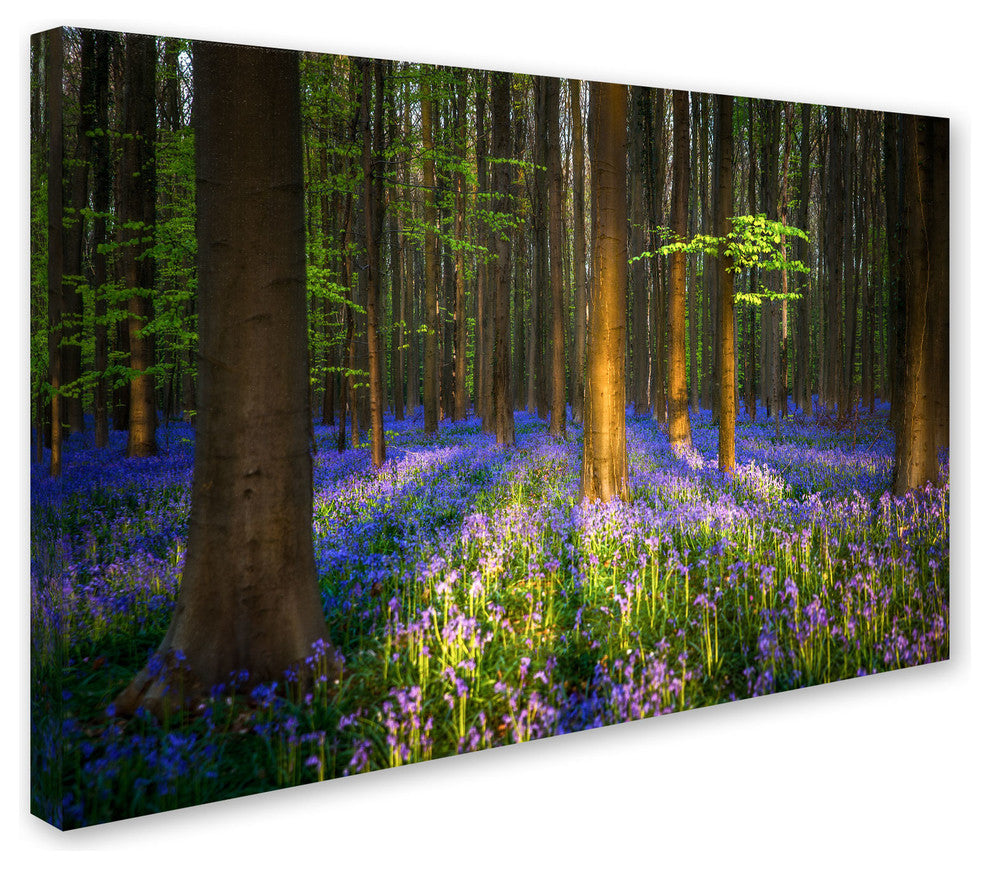 'Mystical Forest' Canvas Art by Mathieu Rivrin