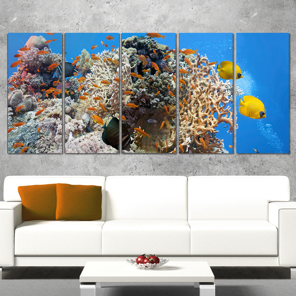 "Coral Scene" Panorama Canvas Photo Print, 5 Panels, 60"x28"