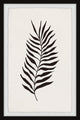"Black Fern Leaf" Framed Painting Print, 20x30