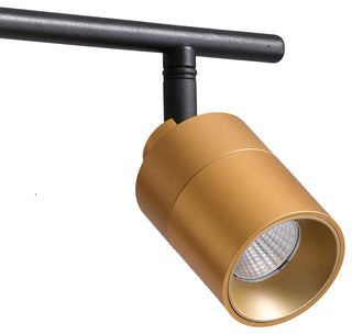 VidaLite Shura 2 Head LED Track Light, Brass And Black