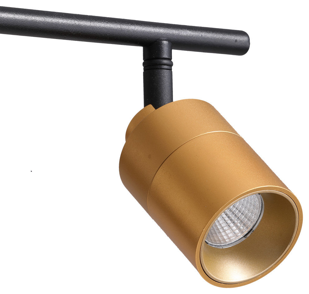 VidaLite Shura 2 Head LED Track Light, Brass And Black