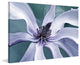 "Petal Pleasure 2" Painting Print on Canvas by Robertson