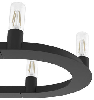 Hunter Saddlewood Natural Iron 10 Light Chandelier Ceiling Light Fixture