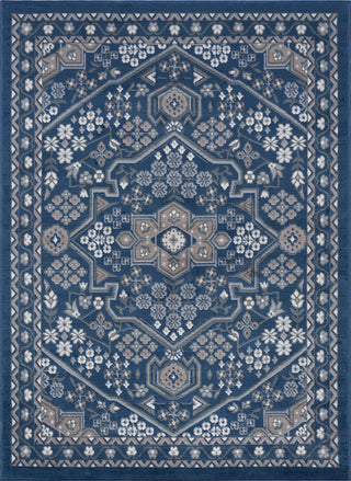 Logan Traditional Oriental Area Rug, Navy, 8'x10'