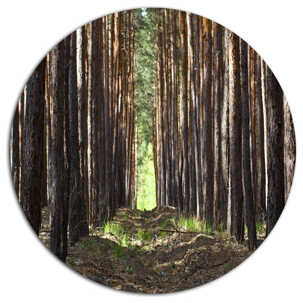 Even Rows Of Pine Tree Forest, Modern Forest Round Wall Art, 36"