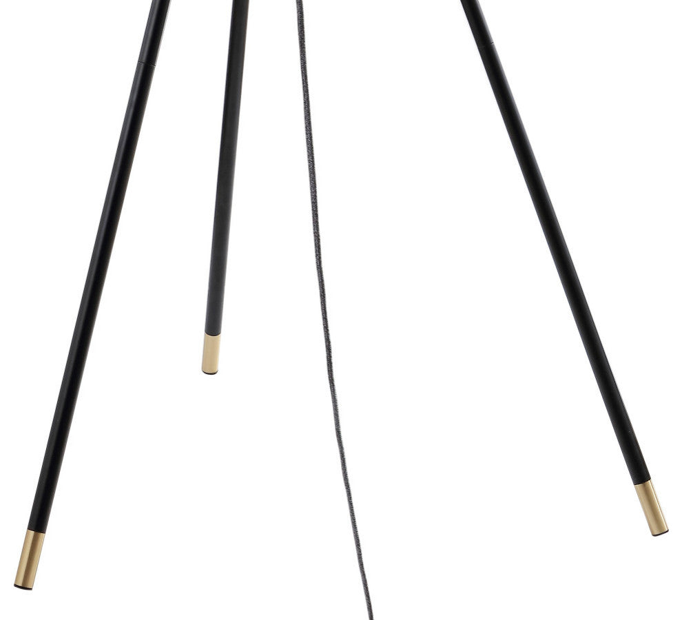 Lucius Adjustable Metal LED Floor Lamp