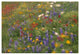 "Wildflowers blowing in the wind, Hill Country, Texas" Paper Art, 62"x42"