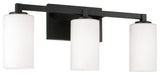 Capital Lighting 119831-545 Ravenwood 3 Light 23"W Vanity Light - Black Iron