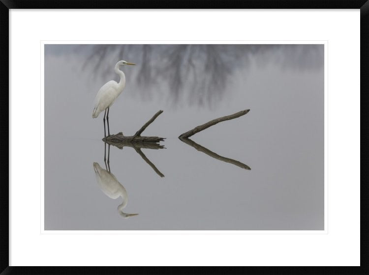 "Reflections" Framed Digital Print by Mauro Montuori, 32x24"