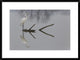 "Reflections" Framed Digital Print by Mauro Montuori, 32x24"