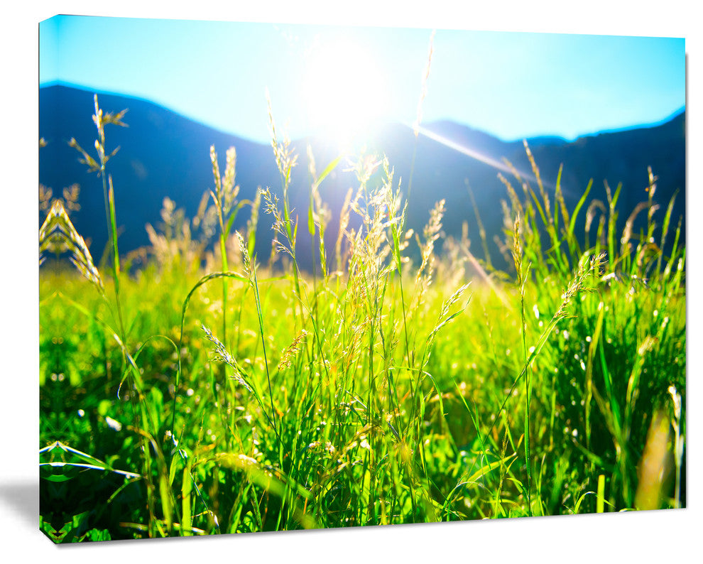 Beautiful Green Nature Wonder, Landscape Canvas Art Print, 40"x30"