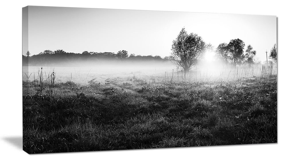 Rural Meadow in Mist, Large landscape Canvas Art Print, 60"x28"