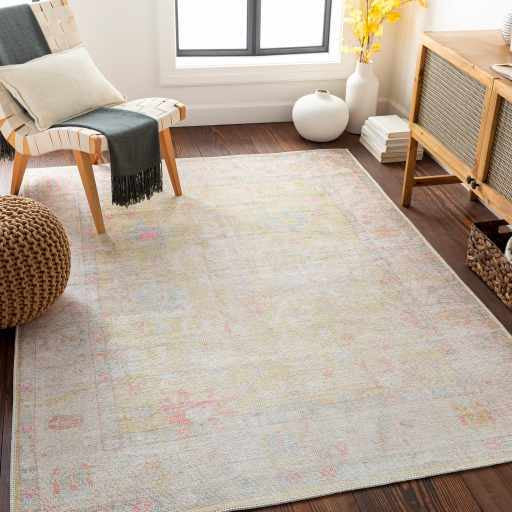 Hauteloom Bozkurt Distressed Washable Rug, 2'7"x10' Runner