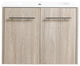 24" Plywood Wall Mounted Bath Vanity Set, Integrated Resin Sink