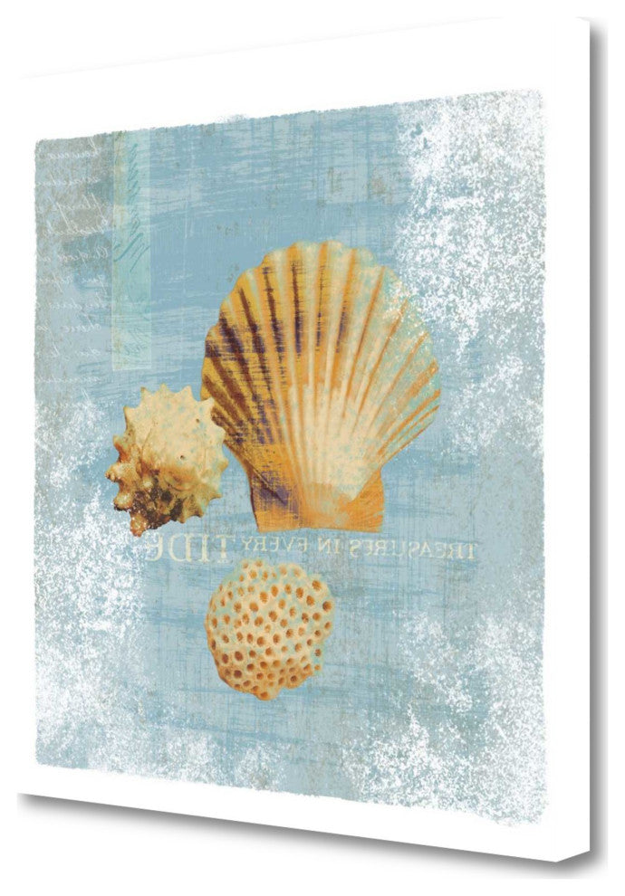 23" Blue Seashell Treasures Giclee Wrap Canvas Wall Art