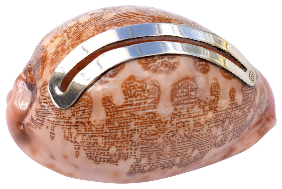Mappa Shell Place Card Holder with Sterling Silver Insert