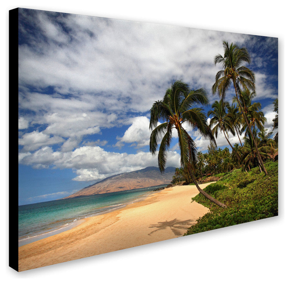 'Kamaole Tropical' Canvas Art by Pierre Leclerc