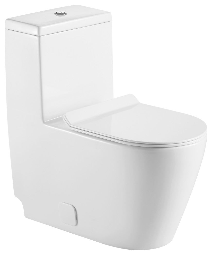 12 inches 0.88/1.28GPF Dual Flush One-Piece Toilet with Soft Close SeatWhen you"™