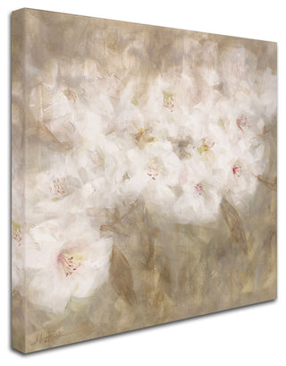 'Wild Poppies I' Canvas Art by Li Bo