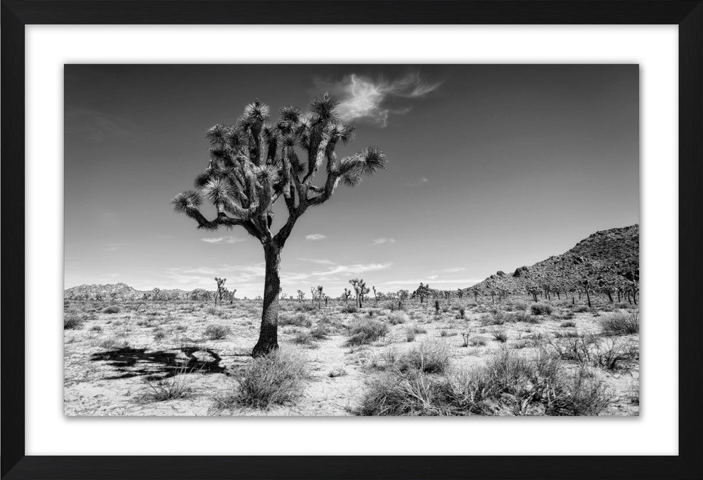 Desert Dusk 1, Giclee Reproduction Artwork