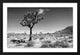 Desert Dusk 1, Giclee Reproduction Artwork