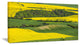 Rapeseed Fields and Green Wheat, Landscape Canvas Art Print, 60"x28"