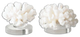 Contemporary Coral Sculptures, Set of 2