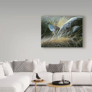 Ron Parker 'California Quail' Canvas Art, 32"x24"