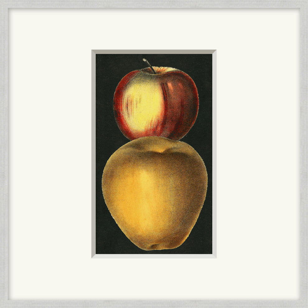 Fruit Study 1, Giclee Reproduction Artwork
