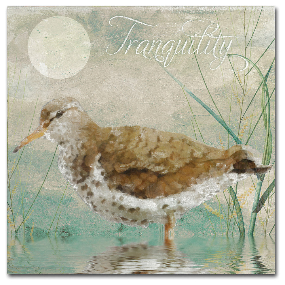 Color Bakery 'Sand Piper II' Canvas Art, 14"x14"