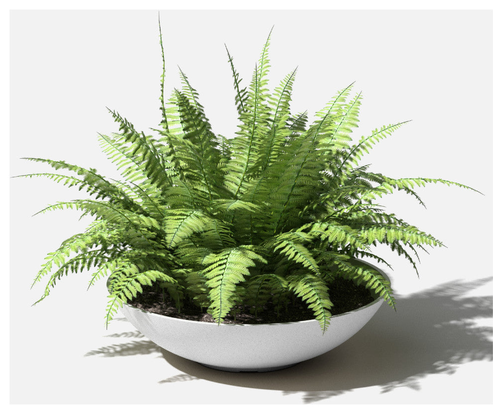 Lane Round Planter Bowl, White, 24'', 1 Pack