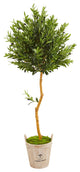 Nearly Natural 63" Olive Topiary Artificial Tree in Farmhouse Planter