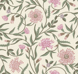 Aster Rose Wallpaper